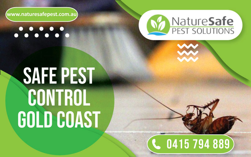 Safe pest control Gold Coast